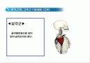 두피 마사지의 이론 9페이지