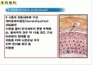 두피의 구조 8페이지