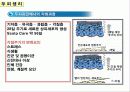 두피의 구조 13페이지