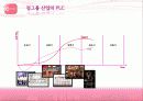 소녀시대 마케팅 분석 14페이지