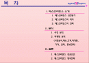 베스킨라빈스 마케팅과 성공전략 2페이지