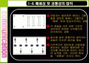 게슈탈트 이론과 이론 적용 광고. 게슈탈트 법칙과 법칙 적용 광고. 11페이지