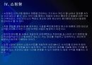 [1인창업]1인 창조기업 성공유형 PPT자료 12페이지