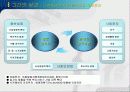 능동적복지를 실현하는 복지정책의 추진방향 10페이지