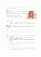 소화기계의 구성 14페이지