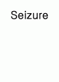 seizure(간질) 1페이지