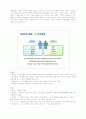 N(네트워크(Network)세대 대하여  7페이지