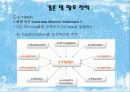 한진택배SWOP, STP,5C  14페이지