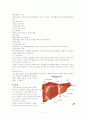 A형간염 case study 2페이지
