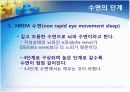 수면의 단계와 주기 수면검사 6페이지