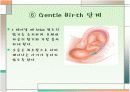 젠틀버스 분만 PPT  9페이지