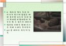 젠틀버스 분만 PPT  12페이지