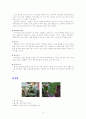 실내식물 10종 * 실외식물 10종 6페이지