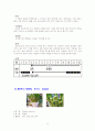 실내식물 10종 * 실외식물 10종 8페이지