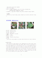 실내식물 10종 * 실외식물 10종 14페이지
