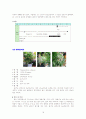 실내식물 10종 * 실외식물 10종 18페이지