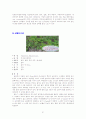 실내식물 10종 * 실외식물 10종 21페이지