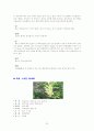 실내식물 10종 * 실외식물 10종 30페이지