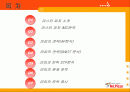 미스터피자의 현지화 전략 2페이지