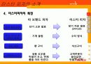 미스터피자의 현지화 전략 6페이지