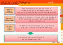 미스터피자의 현지화 전략 18페이지