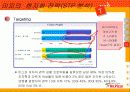 미스터피자의 현지화 전략 23페이지
