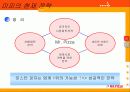 미스터피자의 현지화 전략 26페이지