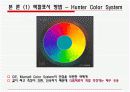생화학) 식품의 색 6페이지