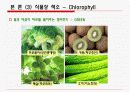 생화학) 식품의 색 8페이지