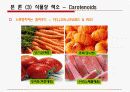 생화학) 식품의 색 11페이지