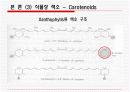 생화학) 식품의 색 13페이지