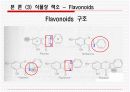 생화학) 식품의 색 16페이지