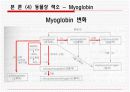 생화학) 식품의 색 21페이지