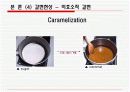 생화학) 식품의 색 23페이지