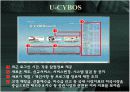 대신증권CRM사례 U-CYBOS 10페이지