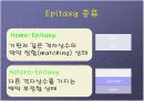 Liquid Phase Epitaxy (LPE) 5페이지