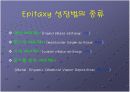 Liquid Phase Epitaxy (LPE) 7페이지