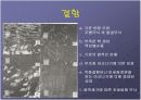 Liquid Phase Epitaxy (LPE) 23페이지