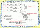 MOCVD 공정(Metal Organic Chemical Vapor Deposition) 5페이지