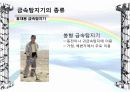 금속탐지기(Metal Detector) 11페이지
