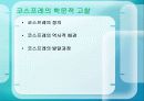 국내 코스프레의 발전방향 4페이지