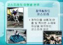 국내 코스프레의 발전방향 14페이지