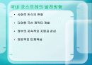 국내 코스프레의 발전방향 21페이지