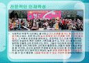 국내 코스프레의 발전방향 25페이지