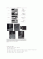 절삭이론(칩,구성인선,공구수명,비구면 렌즈등) 총 정리 5페이지