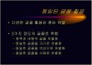 텍스트의 시각화 11페이지