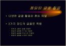 텍스트의 시각화 12페이지