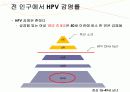 자궁경부암 교육자료 15페이지