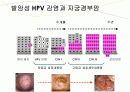 자궁경부암 교육자료 18페이지