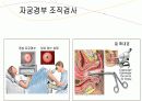 자궁경부암 교육자료 23페이지